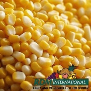 frozen corn wholesale supplier